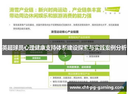 英超球员心理健康支持体系建设探索与实践案例分析