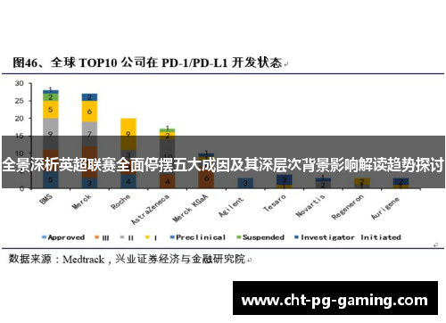全景深析英超联赛全面停摆五大成因及其深层次背景影响解读趋势探讨